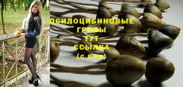бутират Алексин