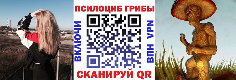 наркошоп Белый Галлюциногенные грибы MAGIC MUSHROOMS